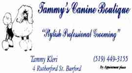 Tammy's Canine Boutique - stylish professional grooming     tammys.jpg (5203 bytes)